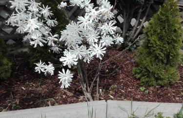 Gästezimmer Fuchs - Foto 17