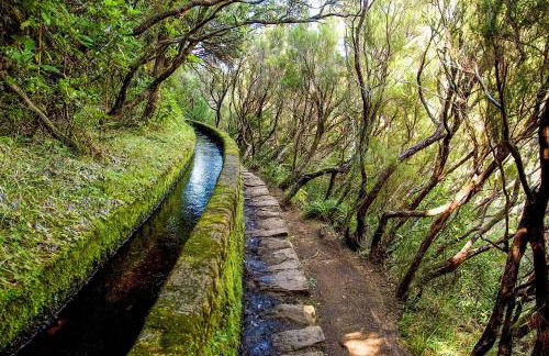 Oásis Suites - Funchal - Foto 30
