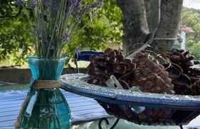 Ιξός Home - Photo 5