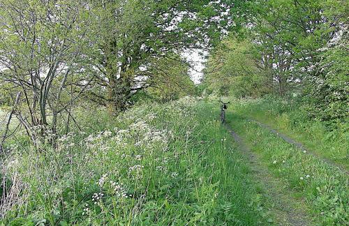 Ferienwohnung Havelnixe - Photo 16