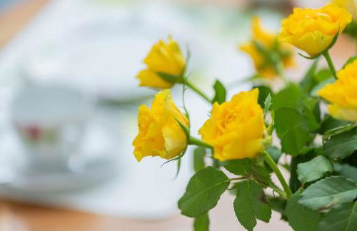 Ferienhaus Waldblick, 35209 - Foto 17