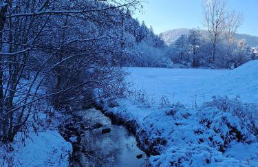 Les Papillons - Foto 16