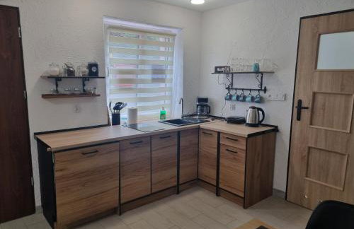 Apartament Nova Kamienica 3 - Foto 7