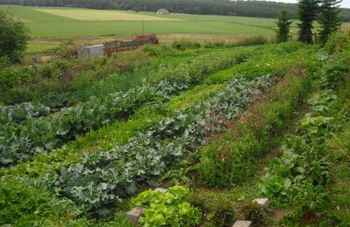 Willekes Blütenhof - Foto 38