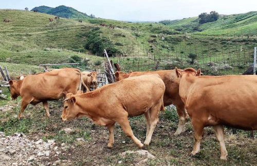Encuentra el norte en la "Casa del buen camino" - Foto 30