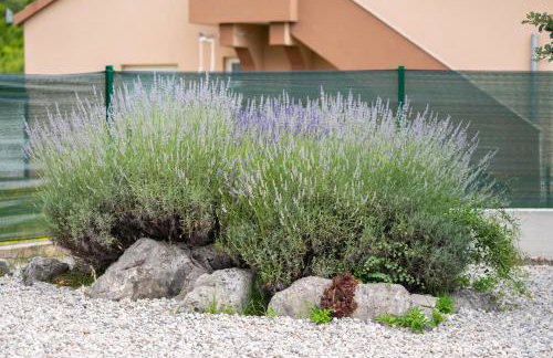 Villa Dalmatina - Foto 64