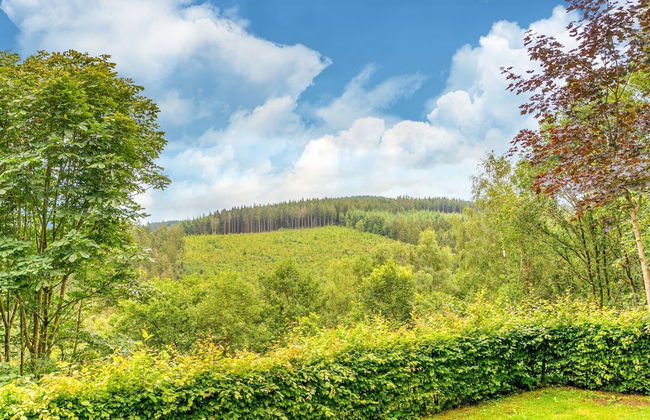 Quaint Holiday Home in Trois-Ponts near Forest - Foto 23