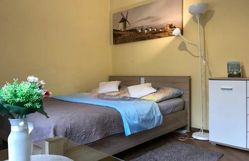 Apartamenty Milówka Centrum - Photo 5