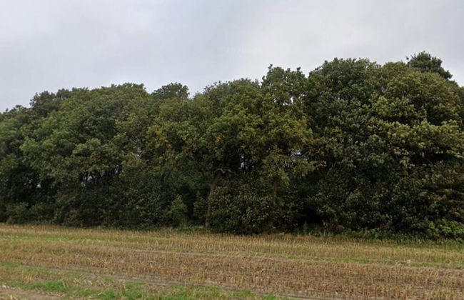 5 Star Holiday Home in Hovborg - Foto 16