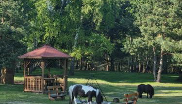 Zacisze Jurajskie - Foto 3