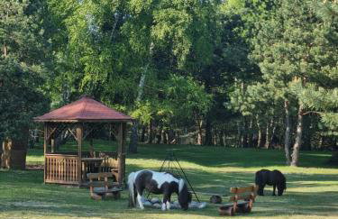 Zacisze Jurajskie - Foto 3