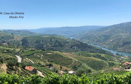 Casa da Oliveira - Photo 9