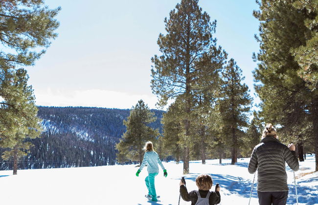 Passeggiata con racchette da neve al Parco Naturale di Somiedo - Foto 7