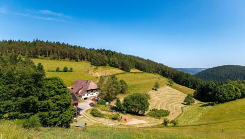 Hinterhauensteinhof - Foto 2