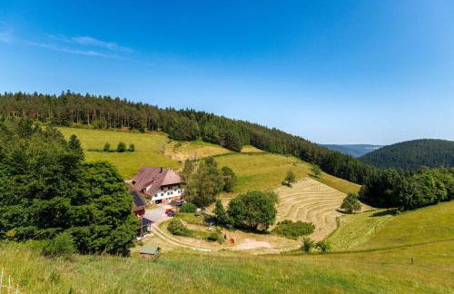 Hinterhauensteinhof - Foto 2