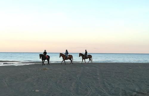 La terra dei ciliegi tra l'Etna e il mare di Taormina - Foto 59