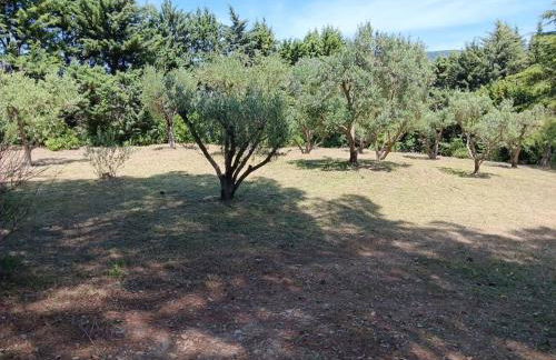 Nouveauté Villa pour 10 Personnes avec Piscine, Pétanque au Coeur des Oliviers de Provence - Foto 15