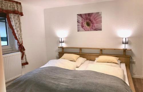 Aparthotel Villa Reimold - Foto 28