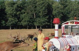 Le Vaugerin - Foto 50