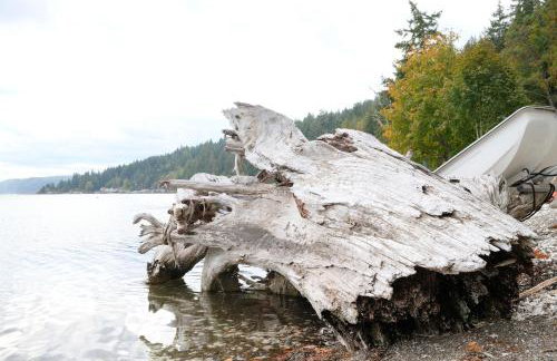Hood Canal Escape- upscale meets the rocky shores! - Foto 25