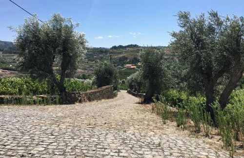 Quinta Do Acipreste (Antiga Quinta Da Torre) - Photo 28