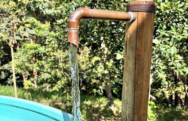 Into the Wild - Foto 18