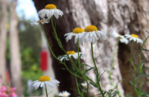 Panorama Apartments - Foto 23