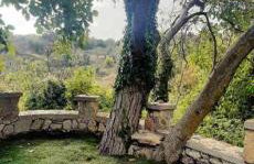 Βίλα Αρμονία Ορεινή Κορινθία - Foto 64