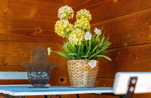 La cabaña de Parisito - Foto 27