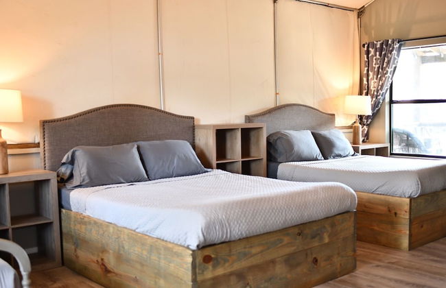 21 Son's Geronimo - Birdhouse Cabin - Foto 3