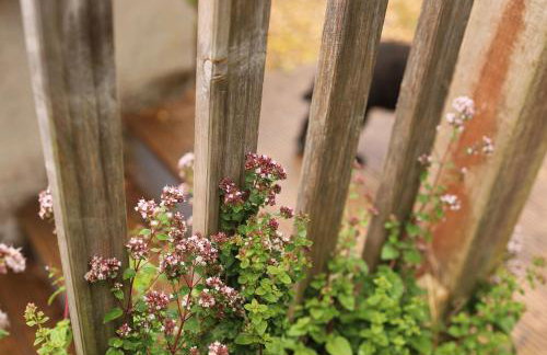 Pet-Friendly Logburner Horse Stable Views - Foto 25