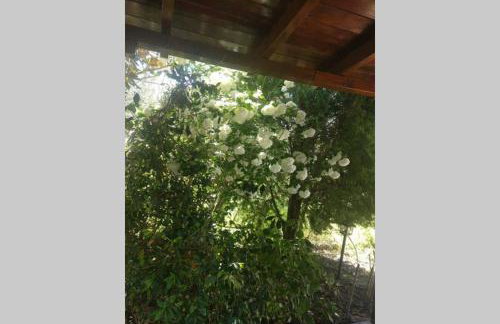 Irinis Cottage - Foto 16