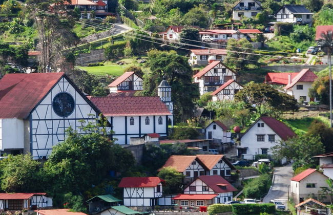 Excursión a Colonia Tovar - Foto 7