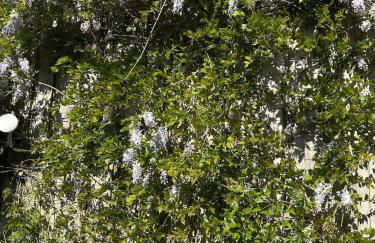 Mawddach View, Snowdonia Hot tub & Pet friendly - Foto 30