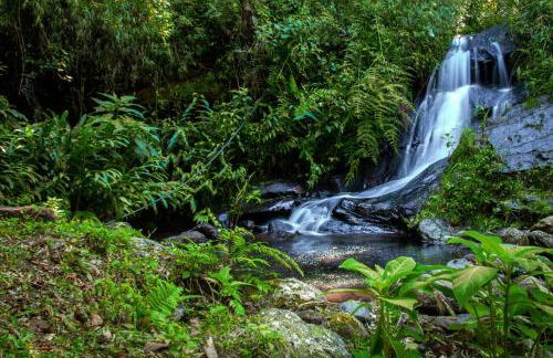 Chalé Morada das estrelas - Foto 8