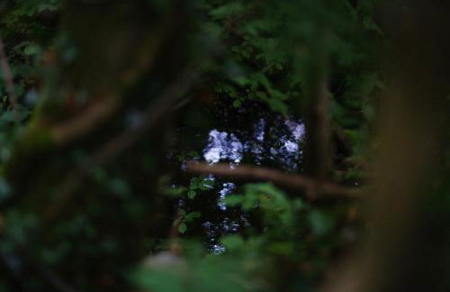 Tig Cottage - a rural, quirky, pet friendly 2 bedroom cottage near Ballantrae - Foto 43