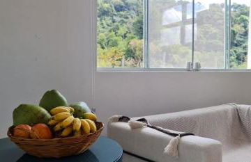 Loft com piscina natural em Cachoeiras de Macacu - Foto 39