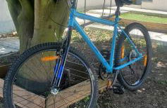 Casa da Laranjeira, perto de Obidos, Budha Eden, Dinossauros parque - Foto 13