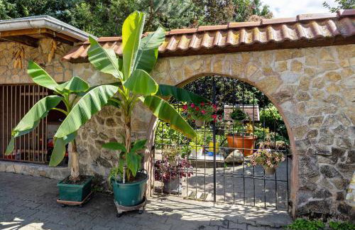 Ferienwohnung im Burgenland - Photo 15