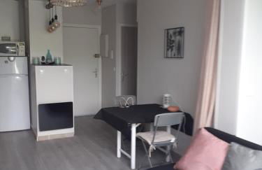 T2 Bord de mer avec jardin et piscine - Foto 20