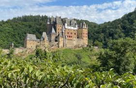 Moderne Ferienwohnung Black Beauty auf idyllischem Reiterhof nähe Burg Eltz - Foto 22