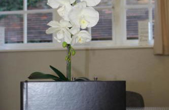 The Gillett's Cottage - Photo 28