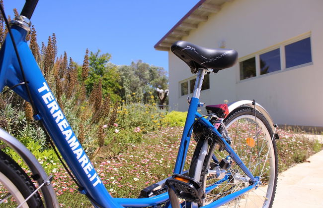 TerreAmare Agriturismo - Photo 28