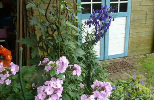 Ferienwohnung Am Walde - Photo 24