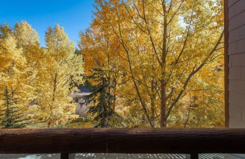 Ski-In/Ski-Out Zephyr 1 Bedroom Condo Winter Park - Foto 28