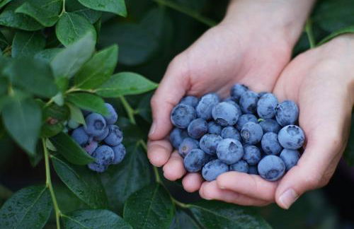 Ca Nova Agriturismo - Foto 67