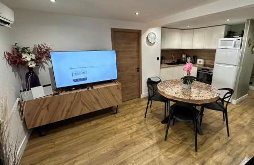 Le Briand Appartement 4étoiles Nancy Thermal Cosy avec Terrasse Wifi - Foto 20