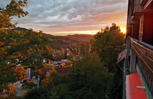 Gaishöll-Wasserfälle Apartment Schwarzwald - Foto 1