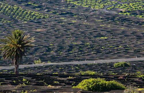 Home2Book Charming Apt Caleta de Caballo Beach - Foto 30