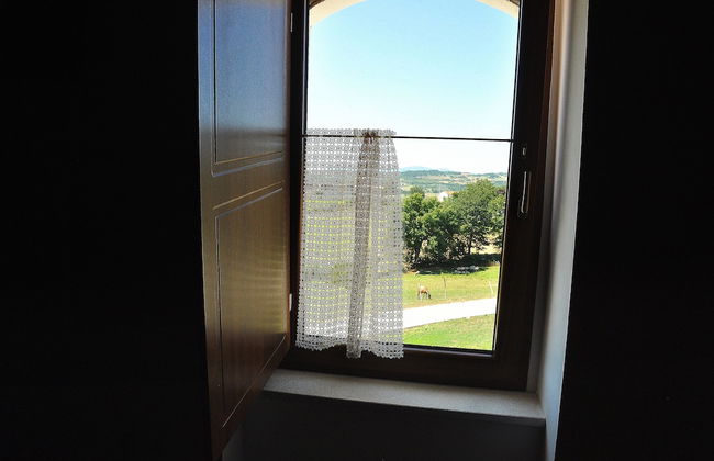 Agriturismo Yes Boss - Foto 6